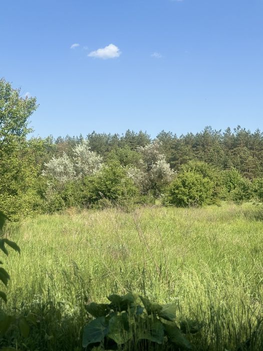 Продам земельну ділянку