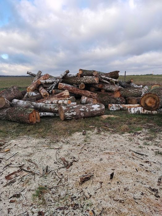 Drewno kominkowe i opałowe