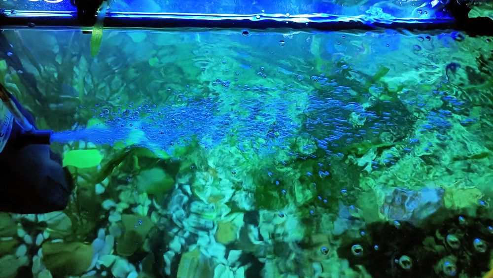 Продам аквариум со всем комплектующим .