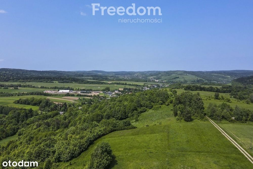 1,38 ha pod siedlisko, działka widokowa