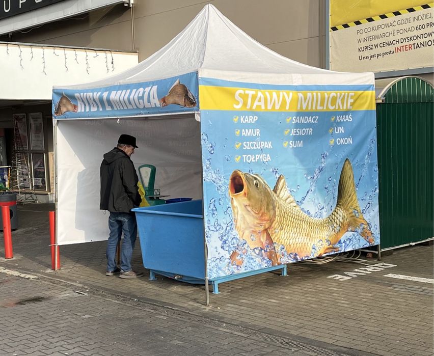Karp Milicki - Punkt sprzedaży żywych i patroszonych