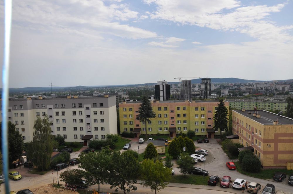 Zdjęcie 8