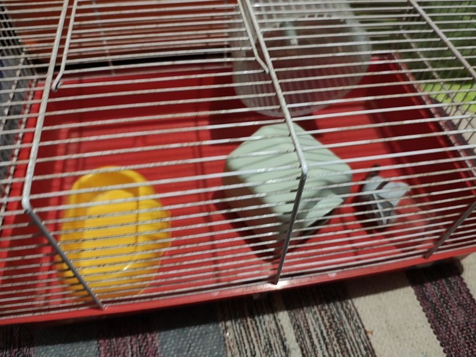 Gaiola de hamster