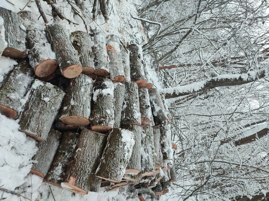 Дрова Рубаные ,Сухие , есть возможность доставки