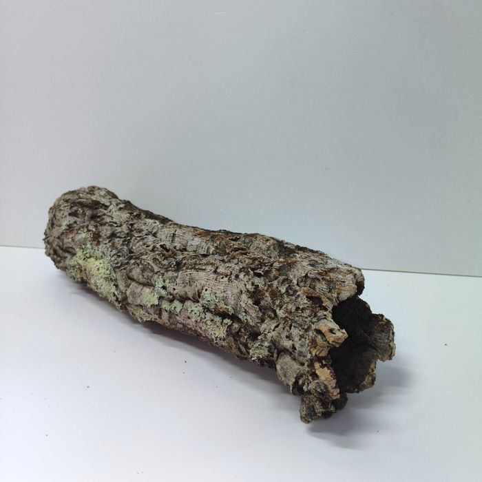 Tuba kryjówka do terrarium dekoracja korek naturalny duży okaz