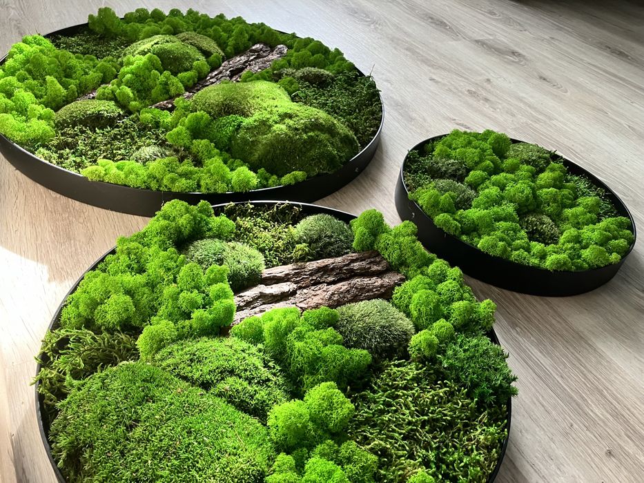 Obraz z mchu koło metal loft żywy mech chrobotek