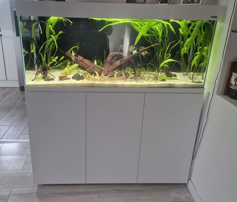 Akwarium aquael 240l