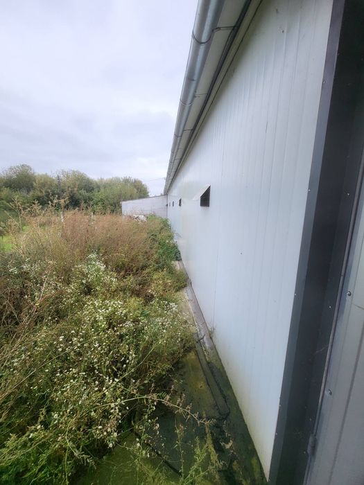 Продаж ферм. господарства 500 м.кв.