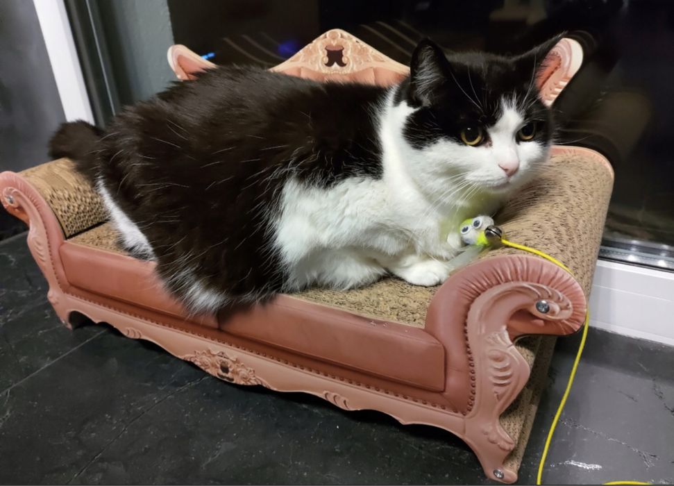 Duży drapak sofa dla kota legowisko tekturowe XL