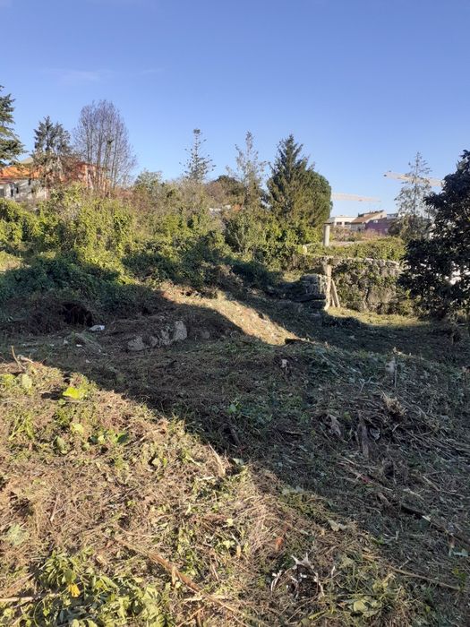 Serviços de Jardinagem/ Poda de sebes