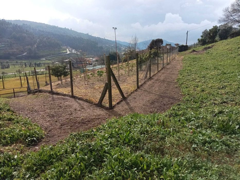 Aluguer de Quinta para Atividades, Cultivo e Workshops