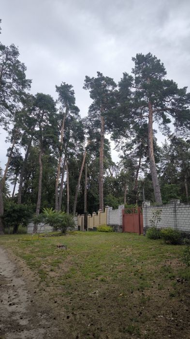 Продаж маленького будиночка та земельної ділянки в Соснівці