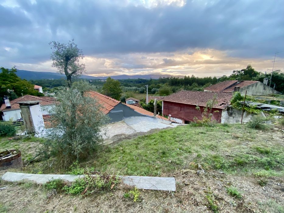 Quintinha c/ moradia T3 + 2 Ruínas