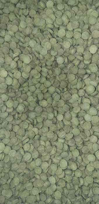 Корм для донных рыб цена за 1 килограмм 360грн.для Анцитрусов Аквариус