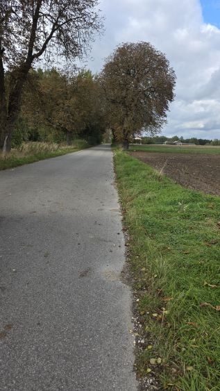 Sprzedam działkę budowlaną o pow. 1.5 ha w miejscowości Krępa