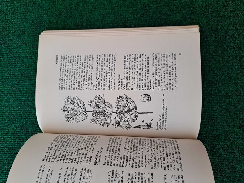 Plantas Medicinais - François Balmé