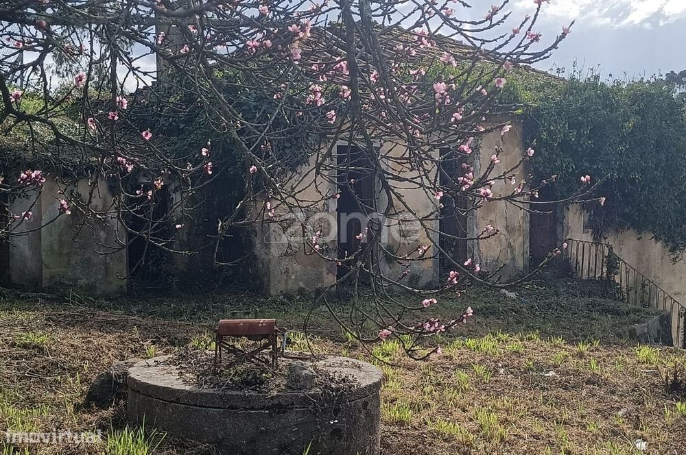 Moradia T4 com terreno de 1.450 m2, Oliveira de Azeméis