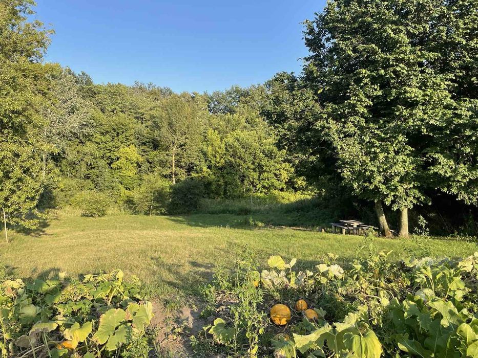 Продаж будинку в мальовничому місці