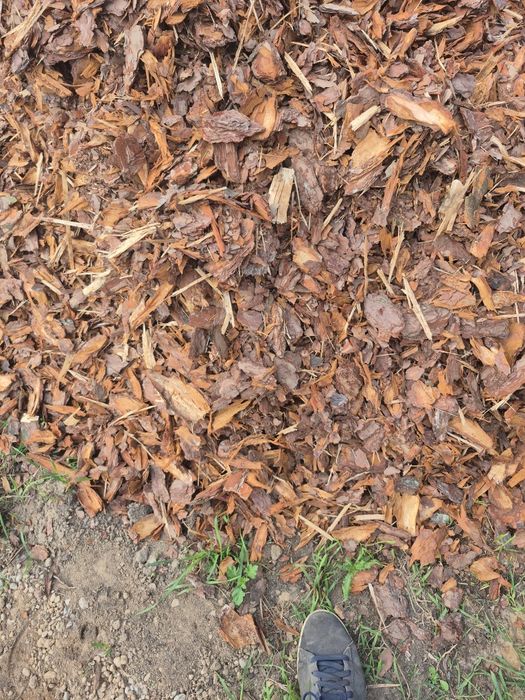 Kora Sosnowa Zrębki Iglaste  luzem lub worki