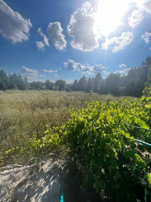 Терміново/Срочно Продам земельну ділянку в Київській області
