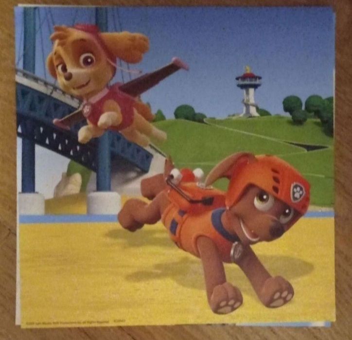 Пазли Paw Patrol Щенячий патруль 3*49