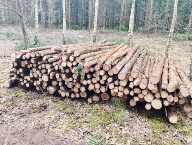 Słupki kołki stemple drewniane