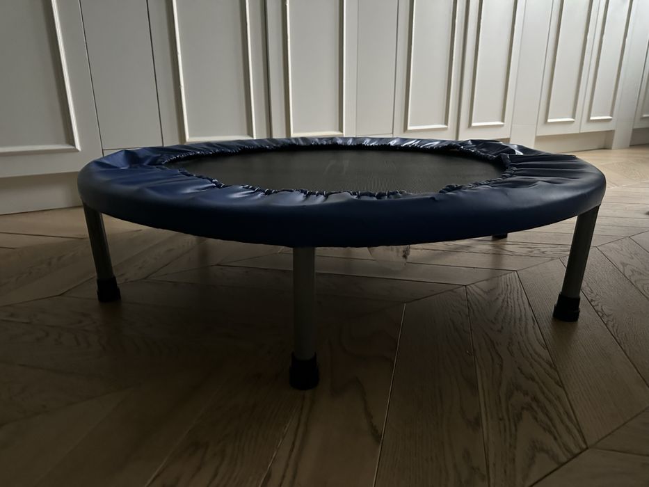 Trampolina batuta Fitness 100 cm