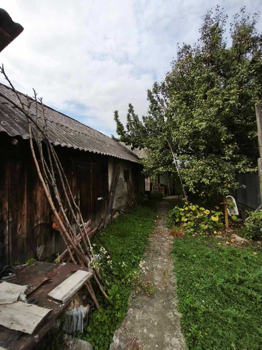 Продається жилий будинок та літня кухня в с. Ракошино Код: 57540