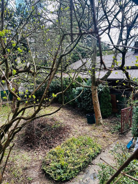 Sprzedam działkę ROD 373 m² – Warszawa Wola, ROD Im. Gen. Józefa Sowińskiego - Ansicht 3