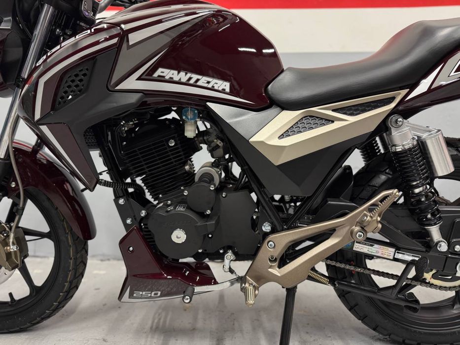 Мотоцикл GEON Pantera 250