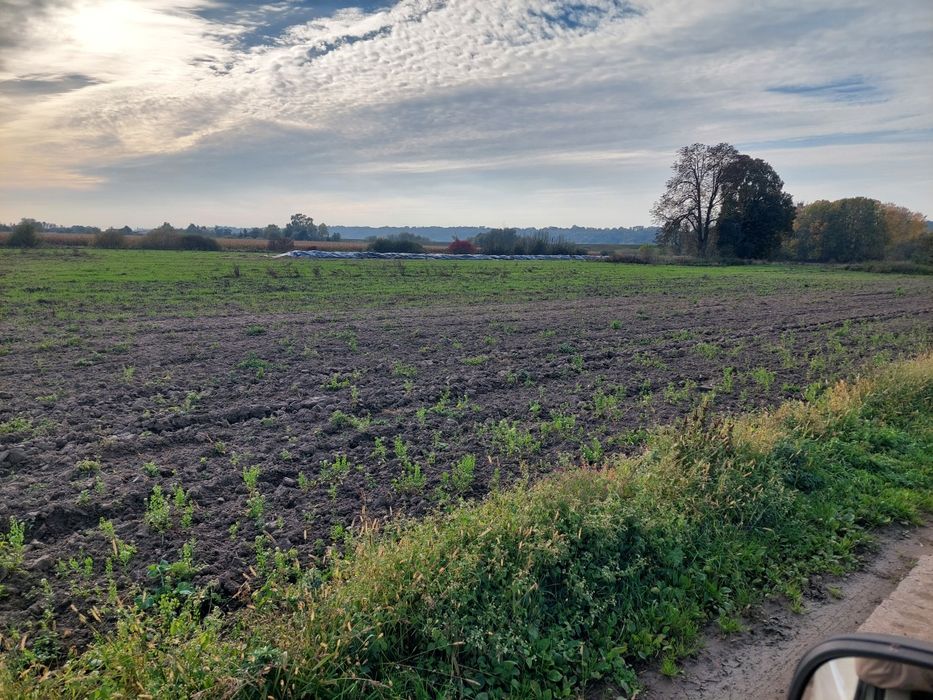 Działka Budowlana Nad Wisłą - Widok 3