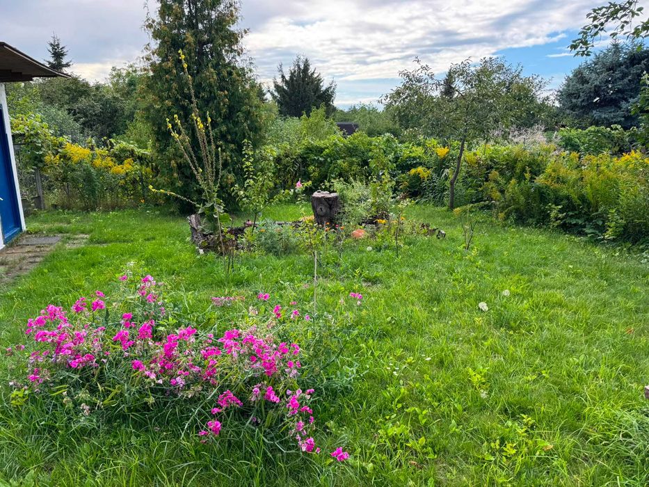 Wyjątkowa działka ROD Park Dolny – zielona oaza w sercu Warszawy (Żoliborz) - Widok 4