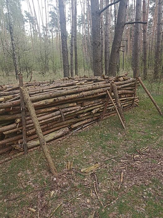 Drewno sezonowane sosnowe