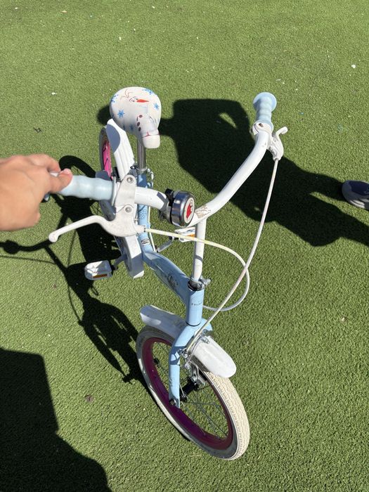 Bicicleta frozen