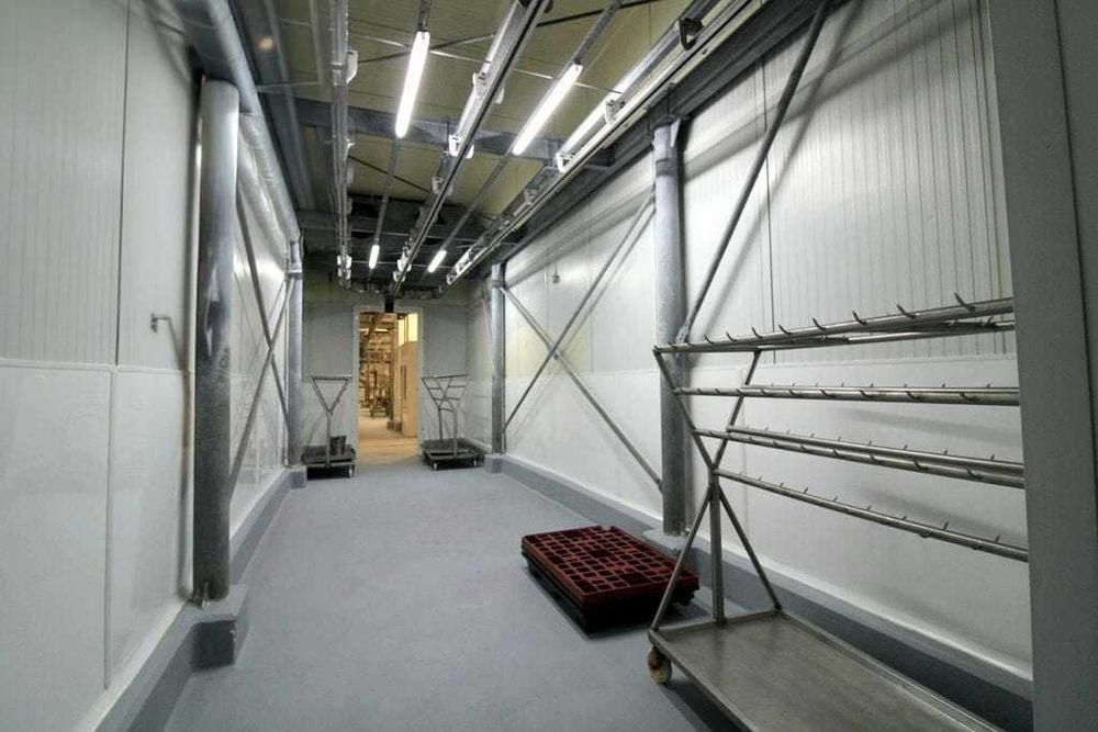 MATADOURO DE OVINOS CAPRINOS E SUINOS HA VENDA