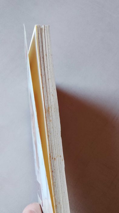 07 zgłoś się "Hieny" Kolekcja książek o poruczniku Borewiczu tom 14