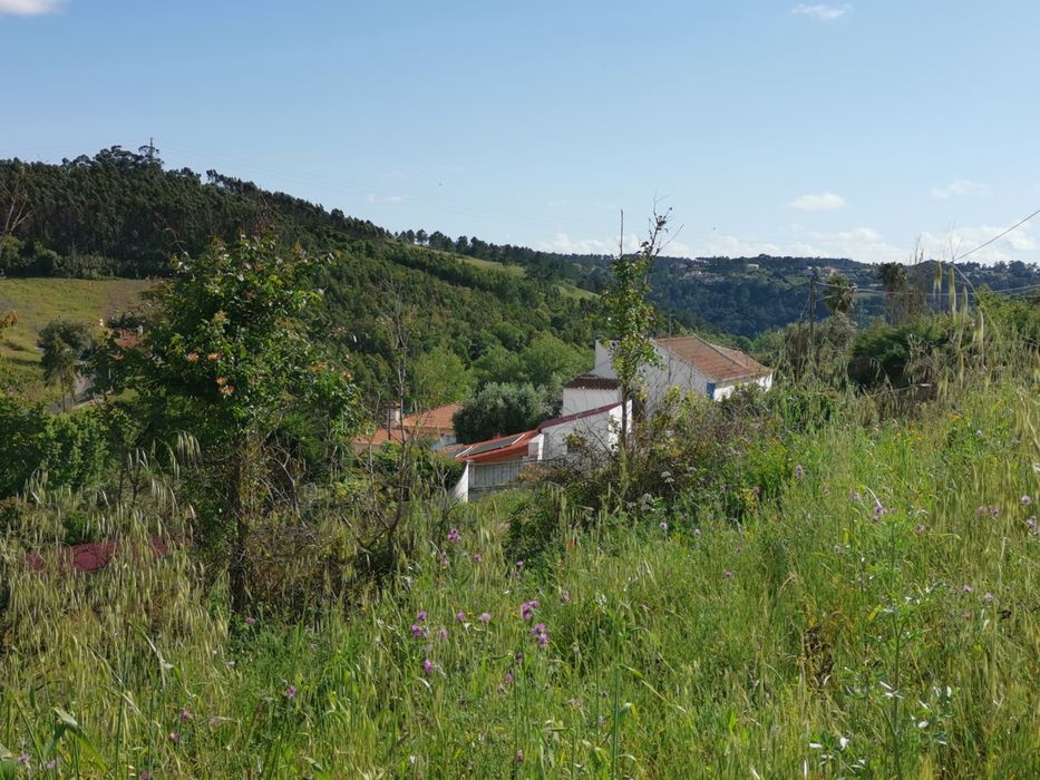 Terreno Pedra Amassada Santo Isidoro Mafra
