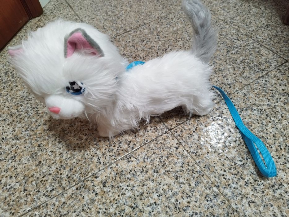 Animagic - Gato Mimi