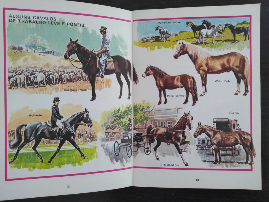 livro: George Beal / George Stokes “Primeiras perguntas sobre cavalos”