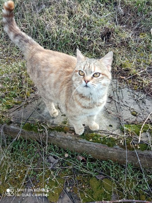 Даша проситься в сім'ю