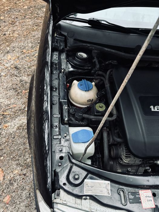 Свежопригнаная октавия