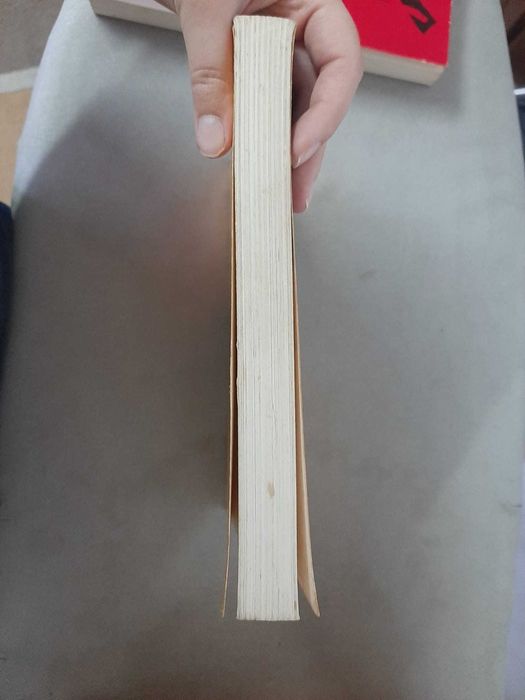 A Haganah: O exército Secreto de Israel de Thierry Nolin