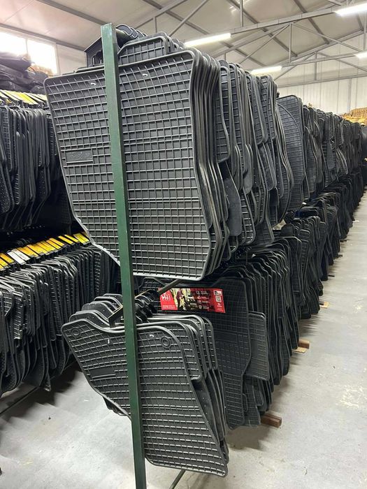 Килимки в салон на ВСІ АВТО --Резинові Модельні -- Польша -- FROGUM