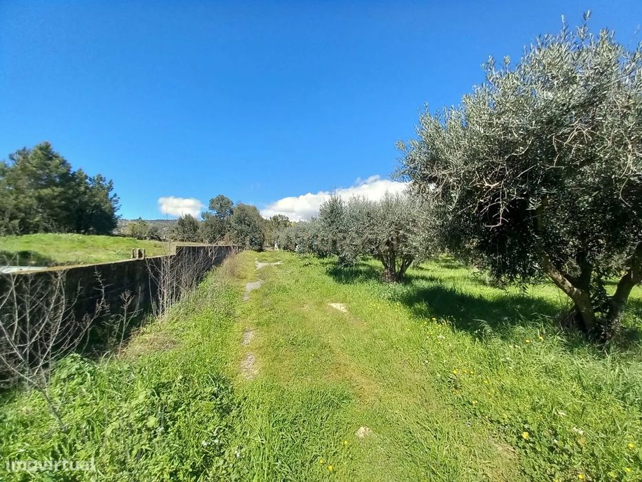 Quinta com 24750m2 Louriçal do campo