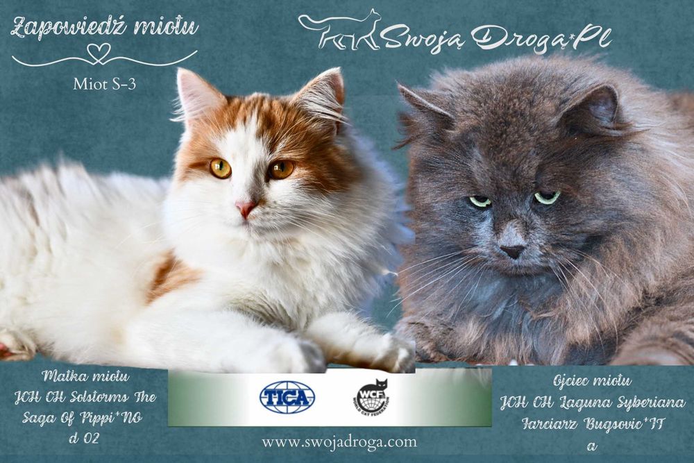 Miot S-3 Swoją Drogą*Pl