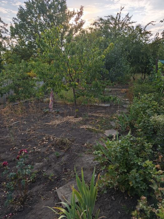 Продаж дачі товариство Західне