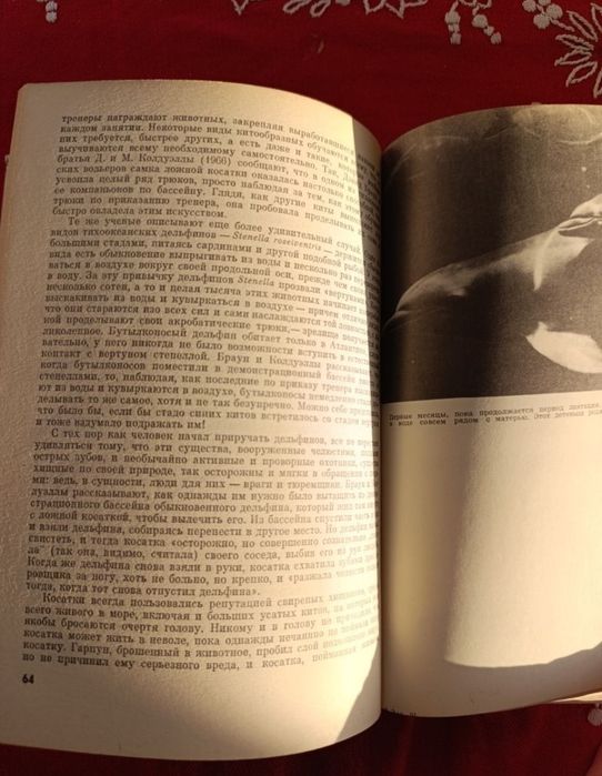 Книга у чудовому стані, читалася всього один раз.