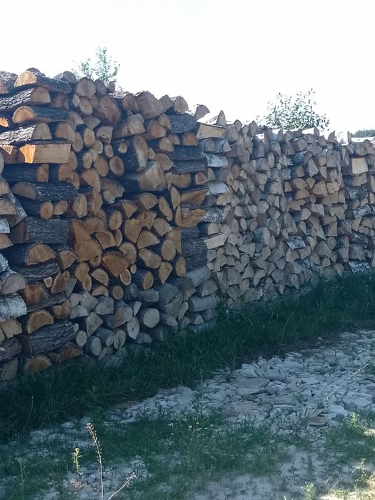 SUCHE drewno Dąb grab wiąz