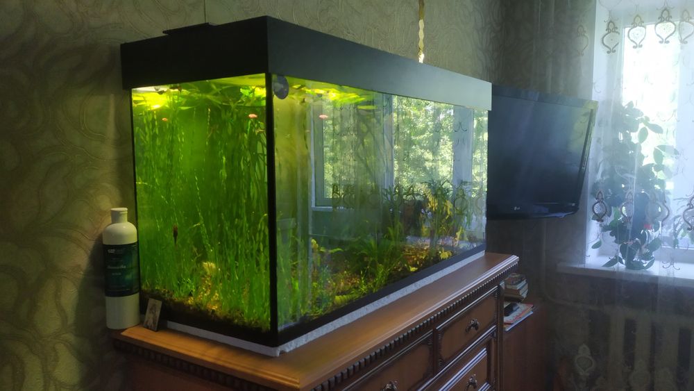 Аквариум 200литров.