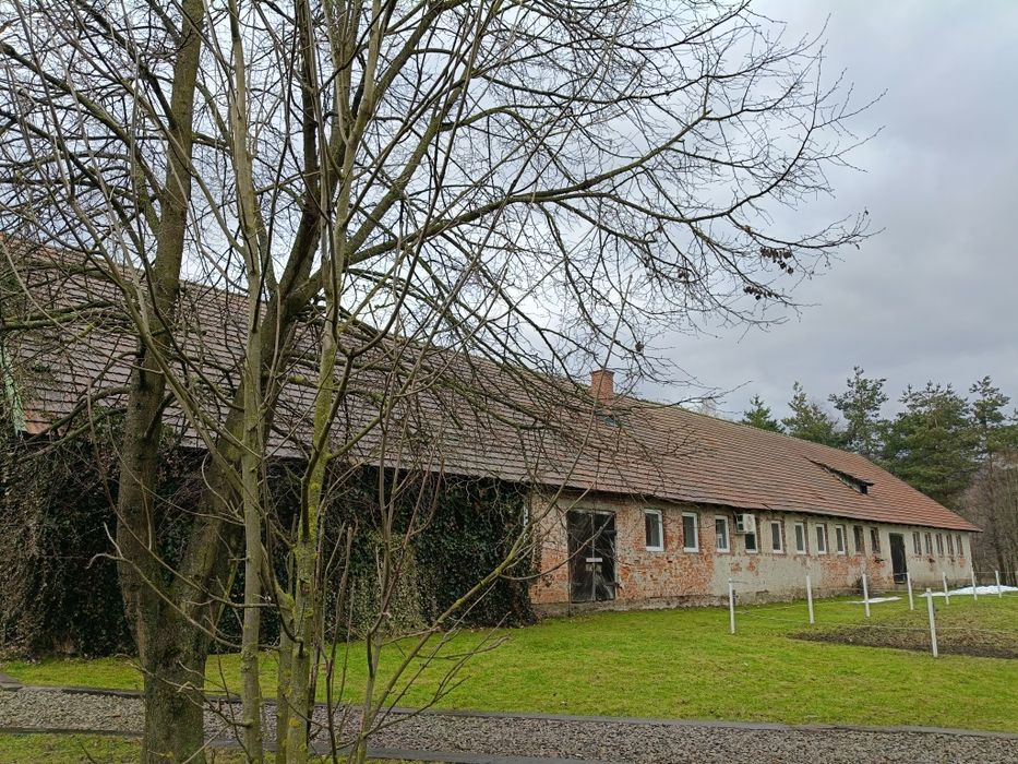 Dachówka ceramiczna